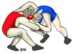 Wrestling Program